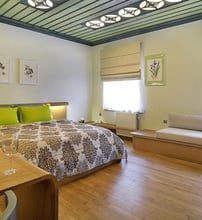 4* Dilofo Hotel Luxury Suites - Δίλοφο Ζαγορίου