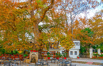 Πήλιο - Λουτρά Πόζαρ