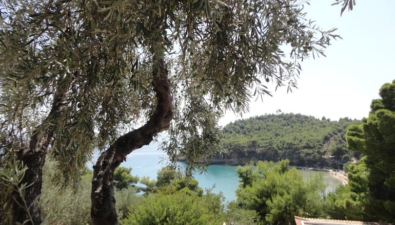 4* Alonissos Beach Bungalows & Suites Hotel - Αλόννησος