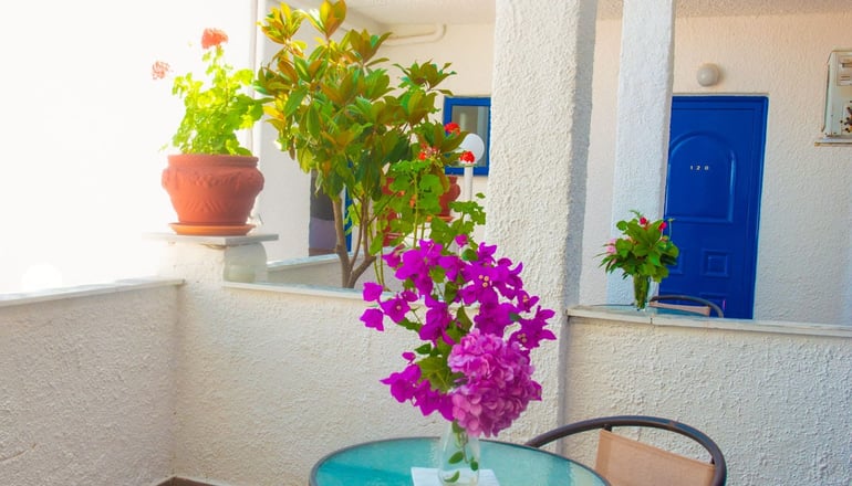 Elena Hotel - Σύβοτα