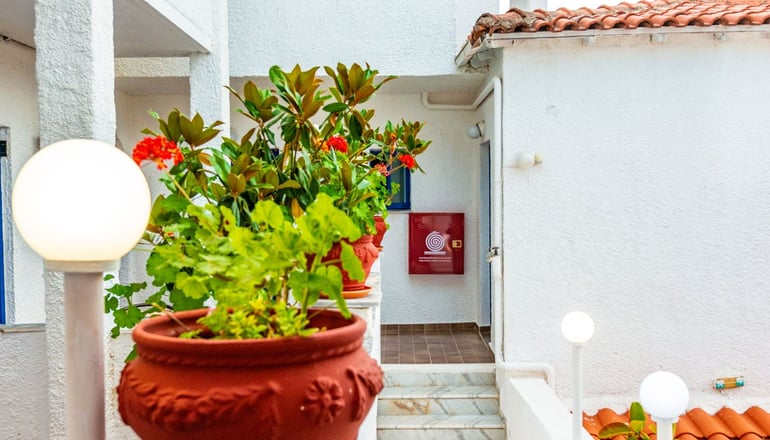 Elena Hotel - Σύβοτα