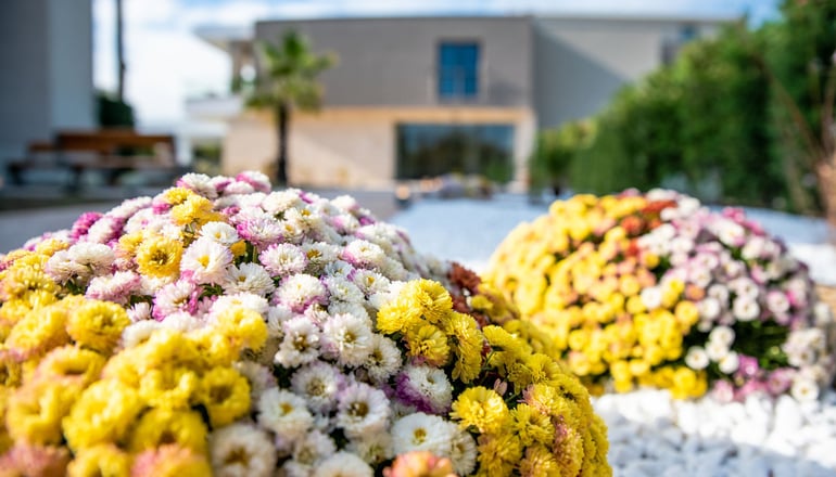 Lagaria Hotel II - Ασπροβάλτα, Θεσσαλονίκη