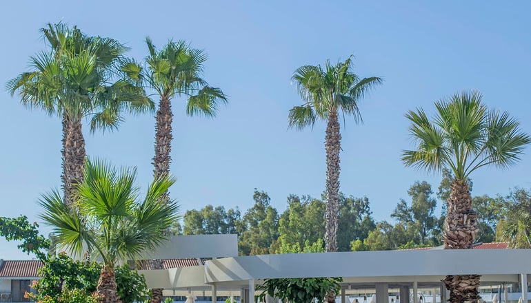 4* Golden Coast Hotel & Bungalows - Νέα Μάκρη