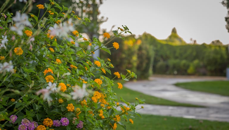 4* Golden Coast Hotel & Bungalows - Νέα Μάκρη