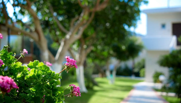 4* Katrin Hotel & Bungalows - Σταλίδα, Κρήτη