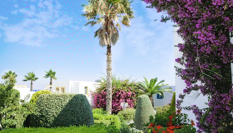 4* Mastichari Bay Hotel - Μαστιχάρι, Κως