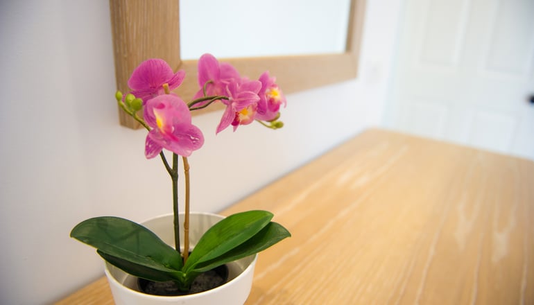 4* Mastichari Bay Hotel - Μαστιχάρι, Κως