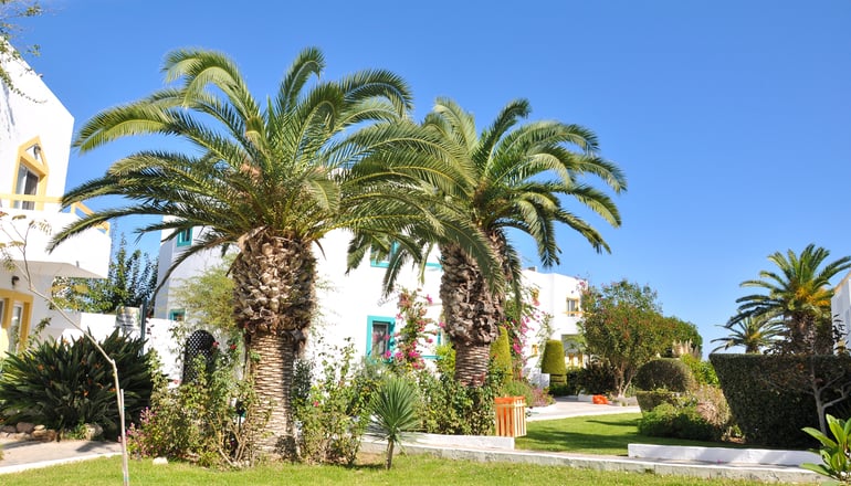 4* Mastichari Bay Hotel - Μαστιχάρι, Κως