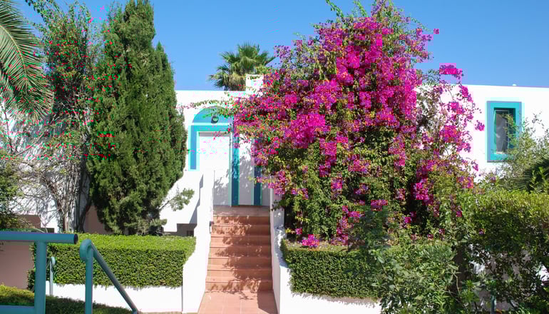 4* Mastichari Bay Hotel - Μαστιχάρι, Κως