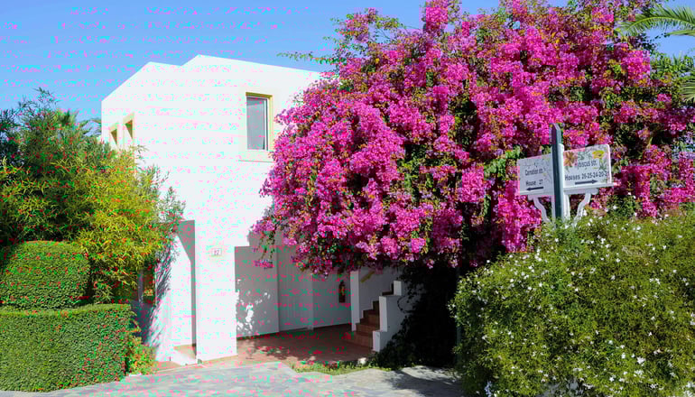 4* Mastichari Bay Hotel - Μαστιχάρι, Κως