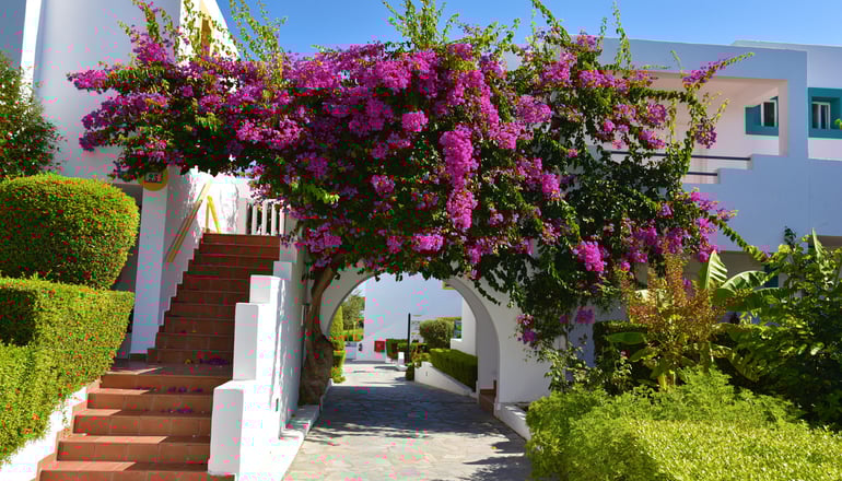 4* Mastichari Bay Hotel - Μαστιχάρι, Κως