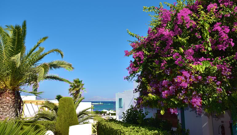 4* Mastichari Bay Hotel - Μαστιχάρι, Κως