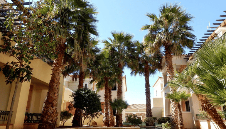 4* Messina Resort - Καλό Νερό, Κυπαρισσία