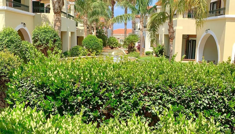 4* Messina Resort - Καλό Νερό, Κυπαρισσία