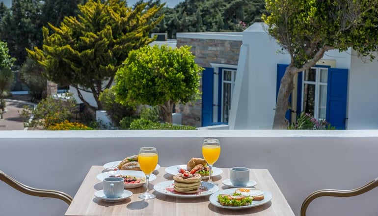 4* Naxos Palace Hotel - Στελίδα, Νάξος