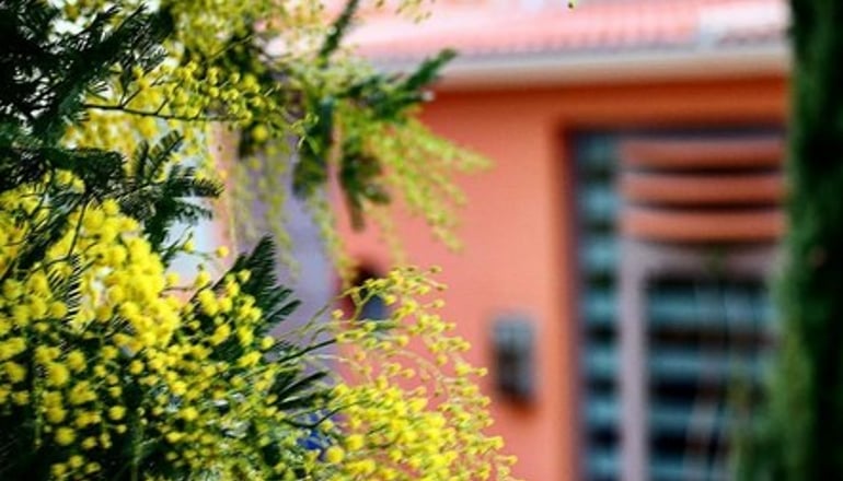 4* Thalassa Hotel - Πάλαιρος, Αιτωλοακαρνανία