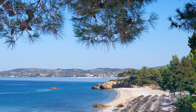 5* Alexandra Elegance