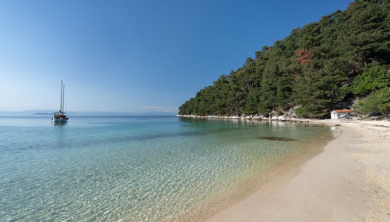 5* Alexandra Elegance