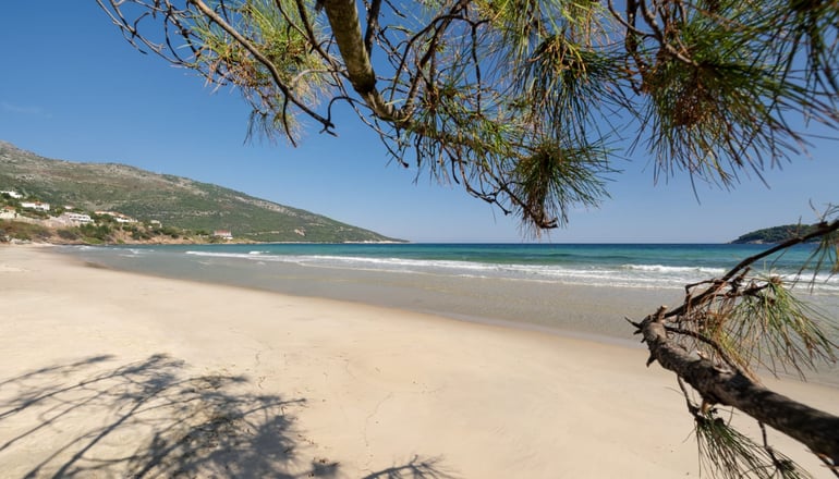 5* Alexandra Elegance