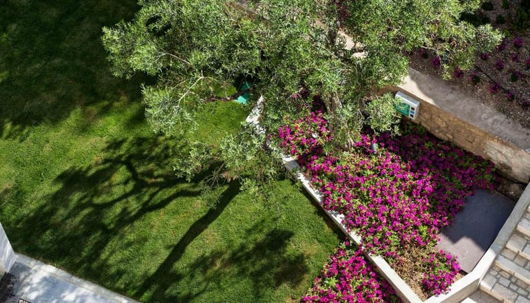 5* Ammon Zeus Luxury Beach Hotel - Καλλιθέα, Χαλκιδική