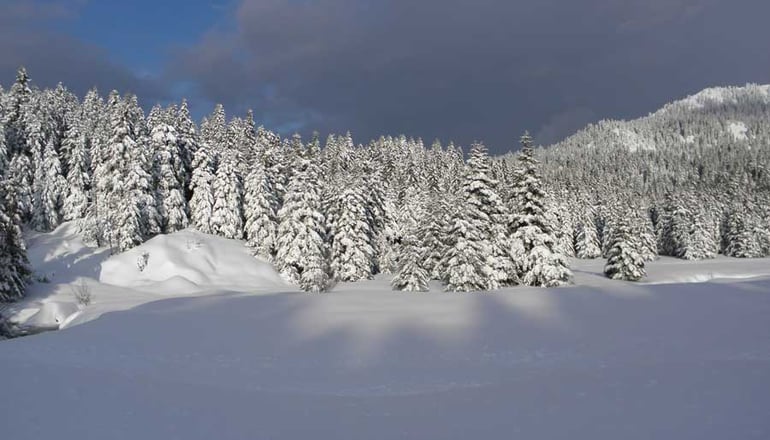 Ξενώνας Θεοδώρου