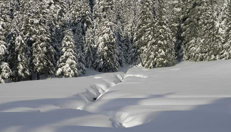 Ξενώνας Θεοδώρου
