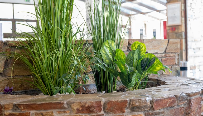 Dionysos Hotel & Suites