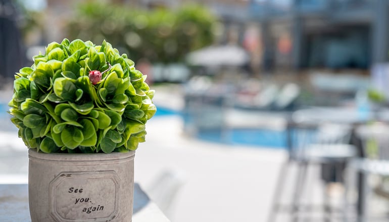 Dionysos Hotel & Suites