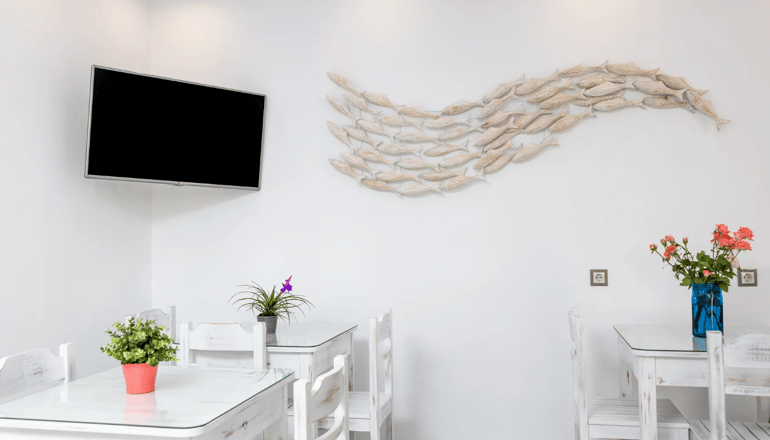 Katerina Roza Studios