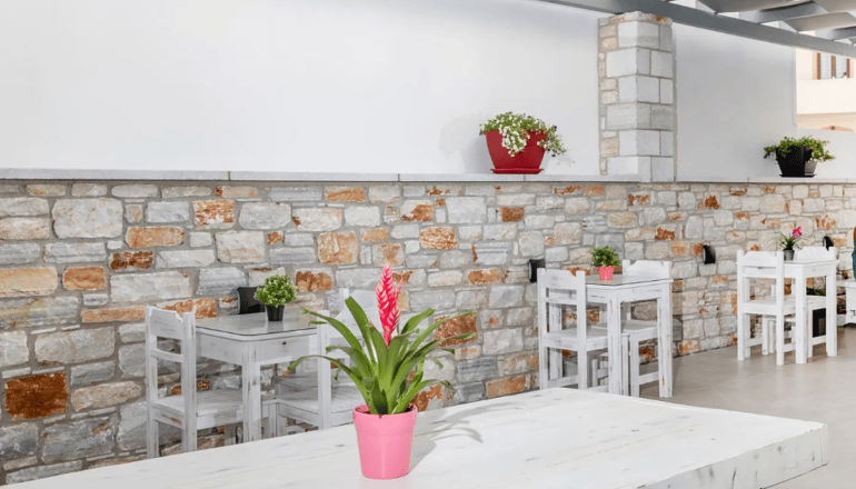 Katerina Roza Studios