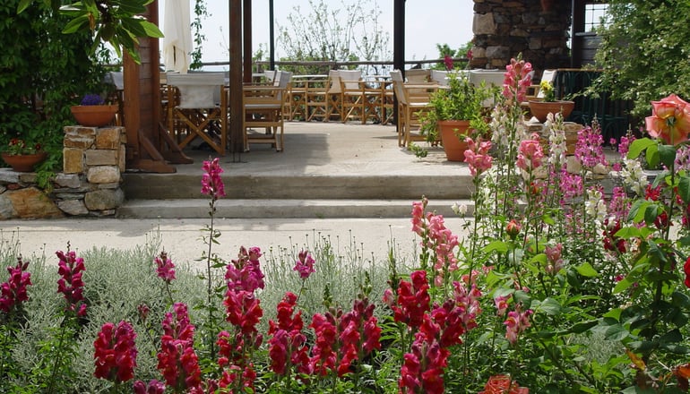 Roxani Country House - Μαρώνεια, Κομοτηνή