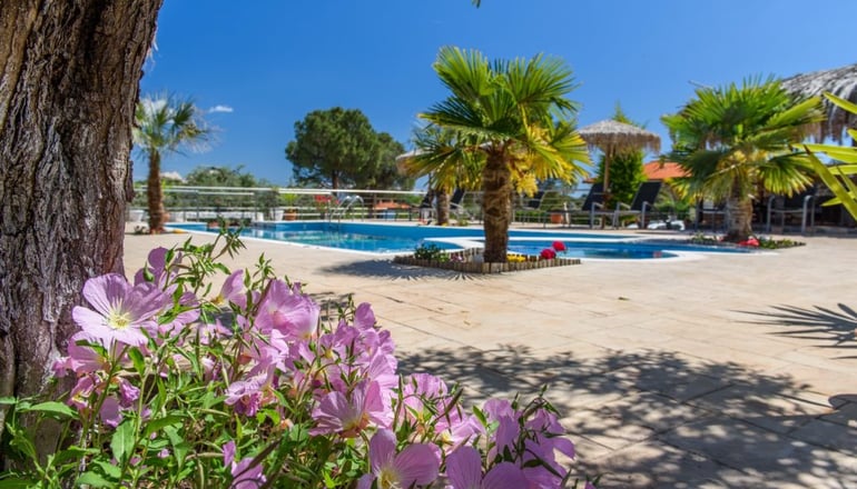 Simon King - Βουρβουρού, Χαλκιδική