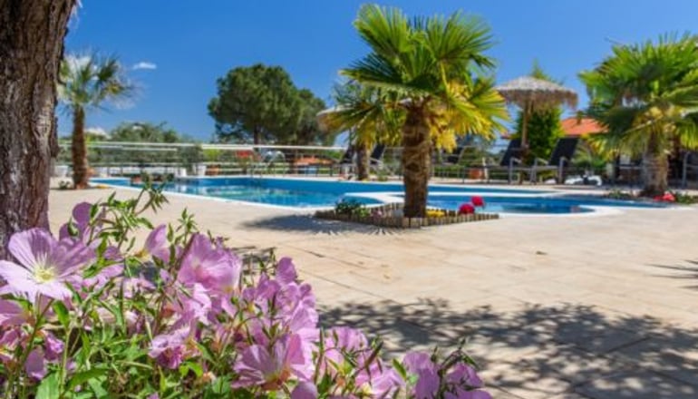 Simon King - Βουρβουρού, Χαλκιδική