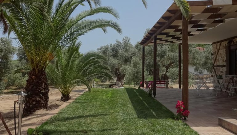 Simon King - Βουρβουρού, Χαλκιδική