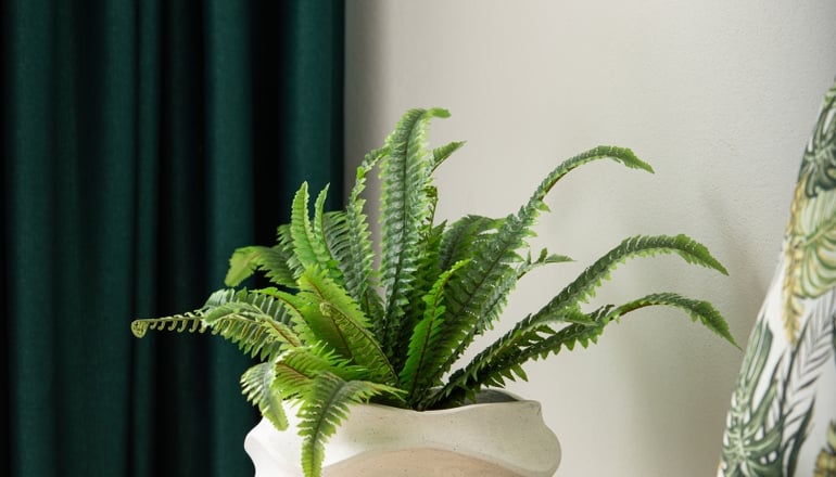 Simon King - Βουρβουρού, Χαλκιδική